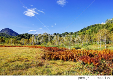 初秋の田ノ原湿原 初秋の田ノ原湿原 119009159