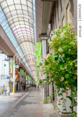 権堂商店街【長野市】 119009320