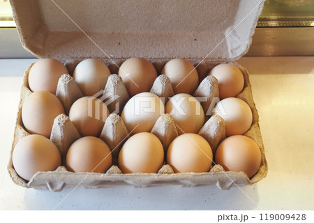 Fresh Eggs in a Carton, Presenting a Gorgeous and Beautiful Variety of Colors to Choose From Fresh Eggs in a Carton, Presenting a Gorgeous and Beautiful Variety of Colors to Choose From 119009428