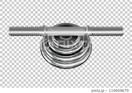 Parts of cast iron Chrome Adjustable Dumbbel, rod and weight plates 119009679