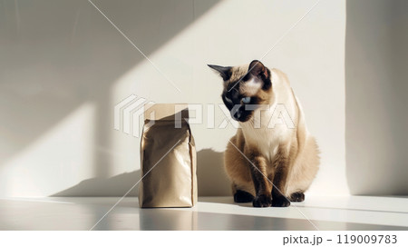A Siamese cat curiously observes a sleek, unlabeled pouch of cat food, illuminated by soft sunlight. The scene highlights a peaceful moment before mealtime A Siamese cat curiously observes a sleek, unlabeled pouch of cat food, illuminated by soft sunlight. The scene highlights a peaceful moment before mealtime 119009783