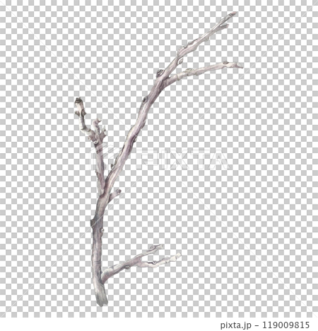 Dry bare tree branch. Hand drawn watercolor illustration of leafless bough on isolated background. Botanical drawing of leaf less wooden stick. For invitations, happy holidays, greeting cards, posters 119009815