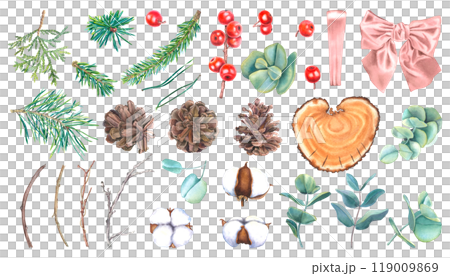 Watercolor set of winter christmas plants. Hand drawn botanical illustration of spruce twigs, eucalyptus, holly berries, pine cones, cotton on isolated background. For 2025 New Year greeting cards. 119009869