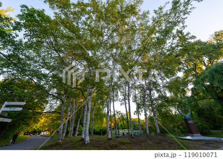 北海道　中島公園の風景 119010071