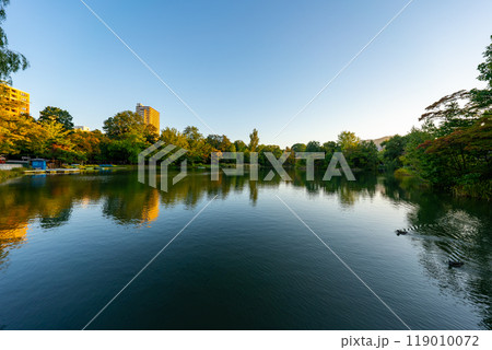 北海道　中島公園の風景 119010072