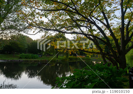 北海道 中島公園の風景 北海道 中島公園の風景 119010150