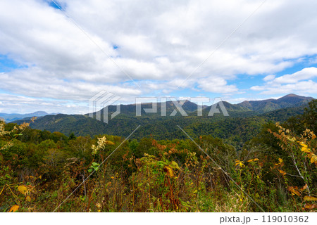 北海道の道路の風景　羊蹄山方面 119010362