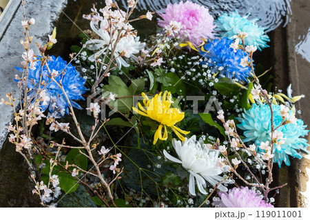 爽やかに感じるな花手水 119011001