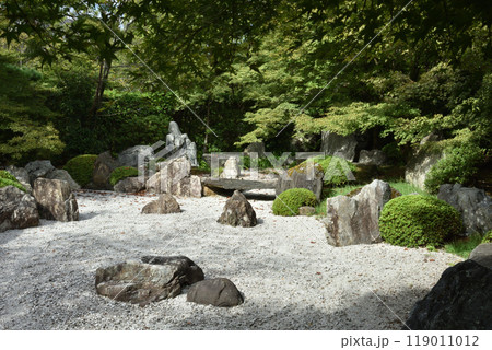 青蓮院門跡飛地　将軍塚青龍殿　庭園　夏季 119011012