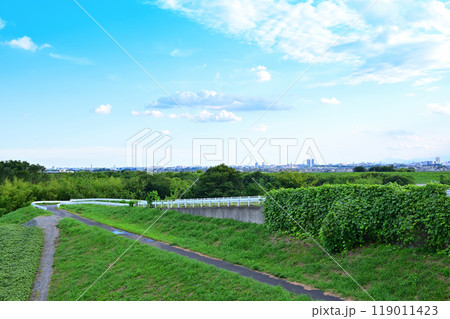 荒川サイクリングロード 遠くにビル群 上江橋からの眺め 荒川サイクリングロード 遠くにビル群 上江橋からの眺め 119011423