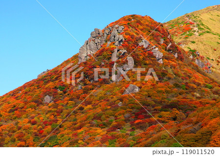 秋の星生山(くじゅう連山・大分県九重町) 秋の星生山(くじゅう連山・大分県九重町) 119011520