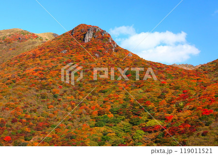 秋の星生山（くじゅう連山・大分県九重町） 119011521