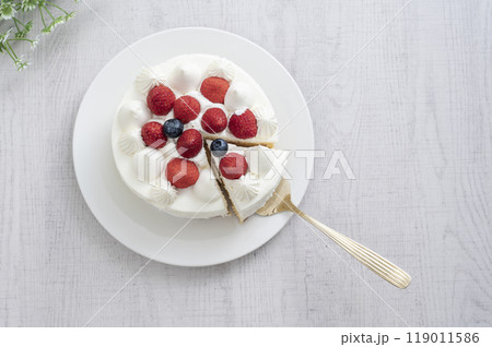 苺のデコレーションケーキ 119011586