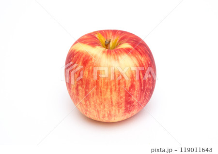 サンつがる（葉取らずリンゴ） 119011648