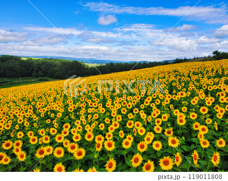 空撮写真 空撮写真 119011808