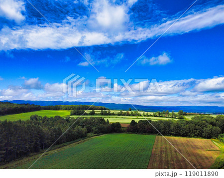 空中散歩 119011890