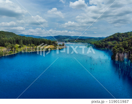 空中散歩 119011987