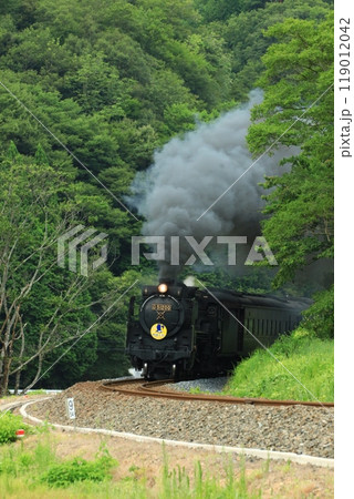 SLやまぐち号 D51　8602 119012042