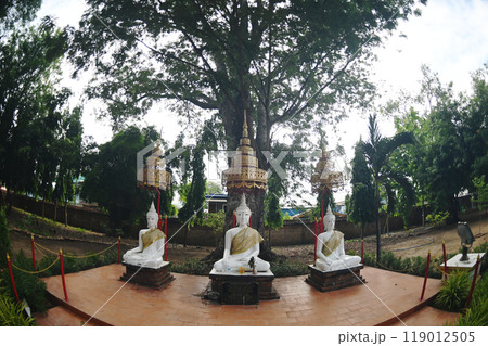 The group of white sitting Buddha decorated near main chedi of Wat Mae Nang Pluem. Located at Phra Nakhon Si Ayutthaya Historical park in Thailand. The group of white sitting Buddha decorated near main chedi of Wat Mae Nang Pluem. Located at Phra Nakhon Si Ayutthaya Historical park in Thailand. 119012505