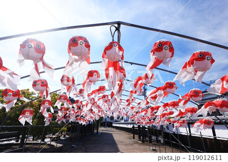 柳井　金魚ちょうちん祭り2744 119012611