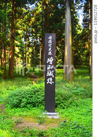 【続日本百名城】増山城 119012728