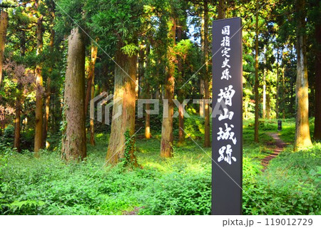 【続日本百名城】増山城 119012729