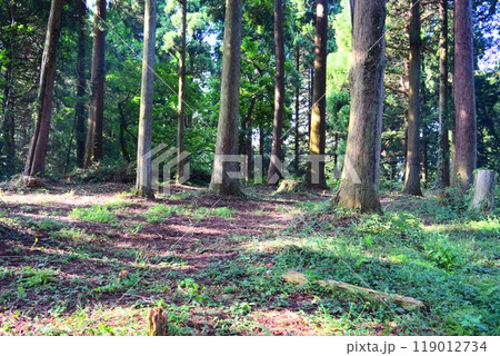 【続日本百名城】増山城 【続日本百名城】増山城 119012734