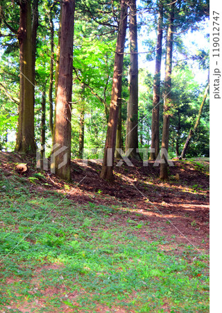 【続日本百名城】増山城 119012747