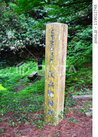 【続日本百名城】増山城 119012748