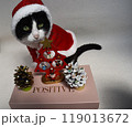 サンタクロースに扮した猫 119013672