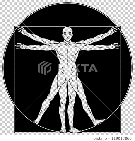 Vitruvian man human body proportion Vitruvian man human body proportion 119013860