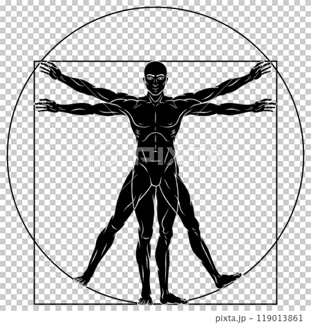 Vitruvian man human body proportion Vitruvian man human body proportion 119013861