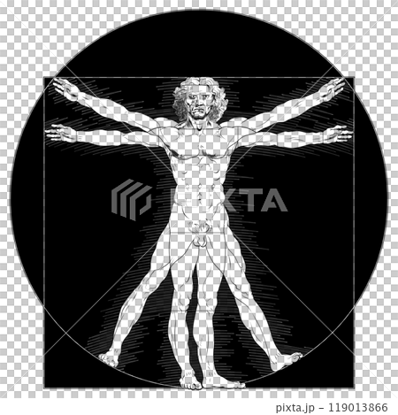 Vitruvian man human body proportion 119013866
