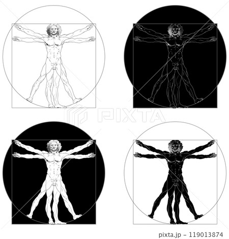 Vitruvian man human body proportion 119013874