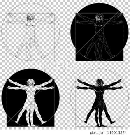 Vitruvian man human body proportion 119013874