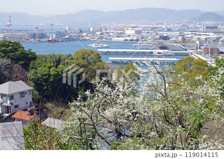 元宇品から眺めた広島港の景色 119014115