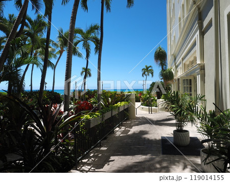 ハワイ　ワイキキリゾート 119014155