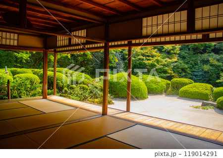 【京都風景】詩仙堂 落ち着きのある庭 【京都風景】詩仙堂 落ち着きのある庭 119014291