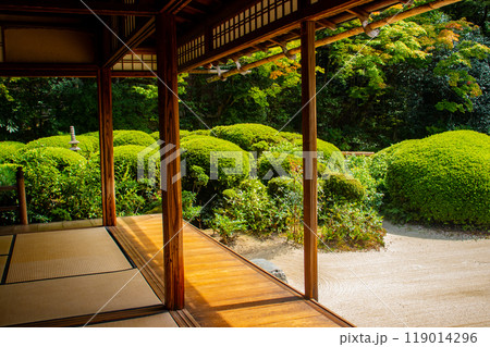 【京都風景】詩仙堂　落ち着きのある庭 119014296