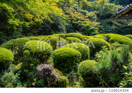 【京都風景】詩仙堂　落ち着きのある庭 119014304