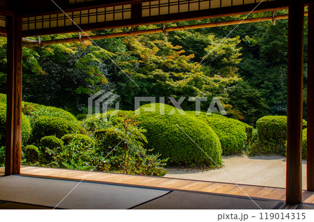 【京都風景】詩仙堂 落ち着きのある庭 【京都風景】詩仙堂 落ち着きのある庭 119014315