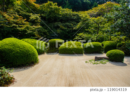 【京都風景】詩仙堂　落ち着きのある庭 119014319