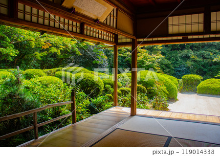 【京都風景】詩仙堂　落ち着きのある庭 119014338