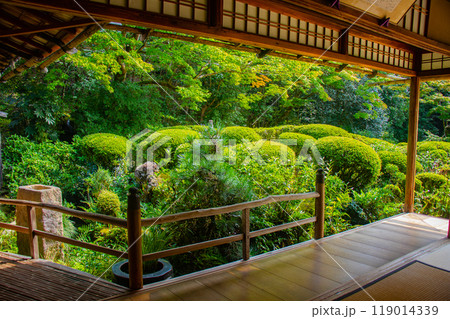 【京都風景】詩仙堂　落ち着きのある庭 119014339