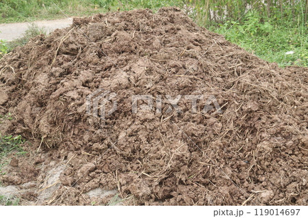 Heap of compost fertilizer on field 119014697