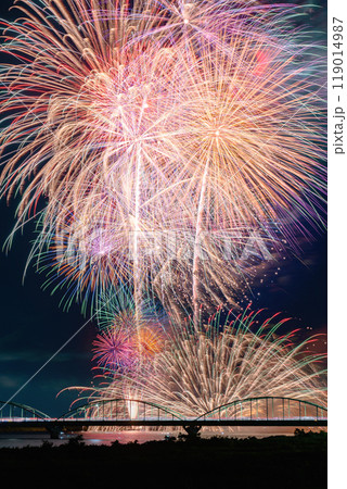 水郷おみがわ花火大会 119014987