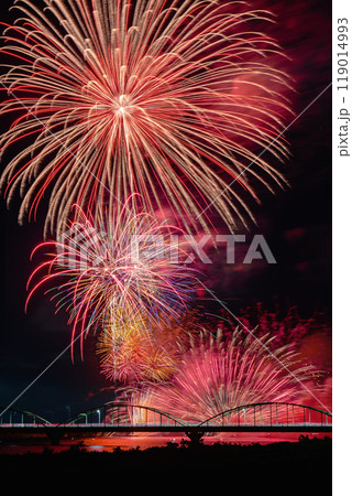 水郷おみがわ花火大会 赤 水郷おみがわ花火大会 赤 119014993