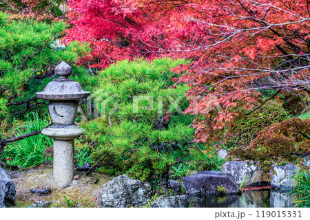 Keitakuen Garden in autumn with beautiful autumn leaves, Tennoji, Osaka, Japan, Japanese garden, Keitakuen garden in Tennoji park at Osaka city, Osaka, Japan. 119015331