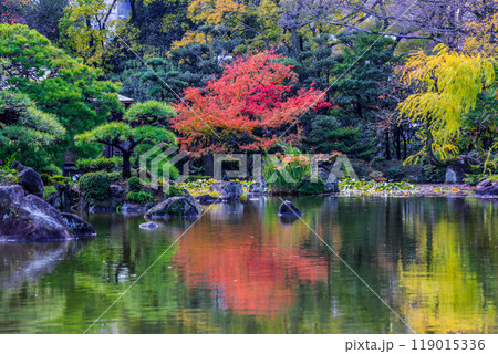 Keitakuen Garden in autumn with beautiful autumn leaves, Tennoji, Osaka, Japan, Japanese garden, Keitakuen garden in Tennoji park at Osaka city, Osaka, Japan. Keitakuen Garden in autumn with beautiful autumn leaves, Tennoji, Osaka, Japan, Japanese garden, Keitakuen garden in Tennoji park at Osaka city, Osaka, Japan. 119015336
