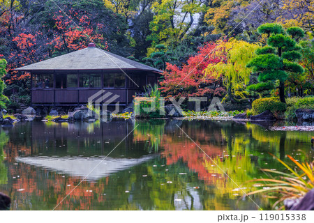 Keitakuen Garden in autumn with beautiful autumn leaves, Tennoji, Osaka, Japan, Japanese garden, Keitakuen garden in Tennoji park at Osaka city, Osaka, Japan. Keitakuen Garden in autumn with beautiful autumn leaves, Tennoji, Osaka, Japan, Japanese garden, Keitakuen garden in Tennoji park at Osaka city, Osaka, Japan. 119015338